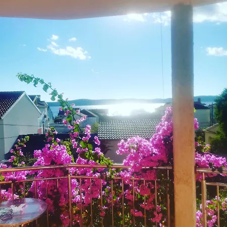 Guest house & Flower Bibinje