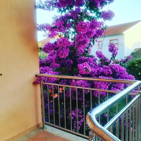 & Flower Guest house